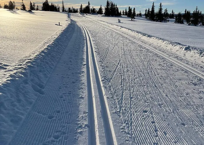 Feriehus Mountain Sjusjoen