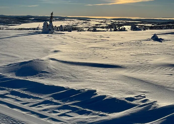 Mountain Feriehus Sjusjoen
